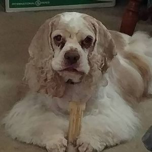 Meet your Posher, Jean